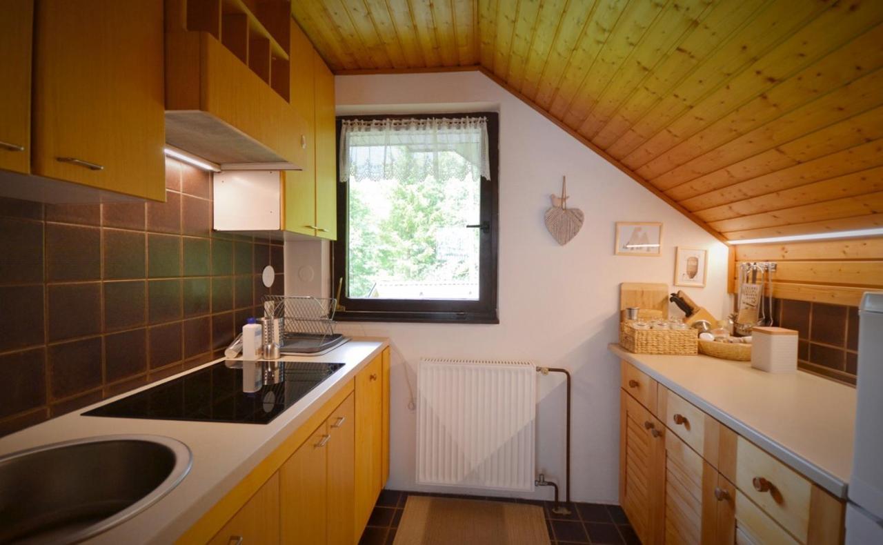 Apartma Zidan Kranjska Gora Exteriér fotografie