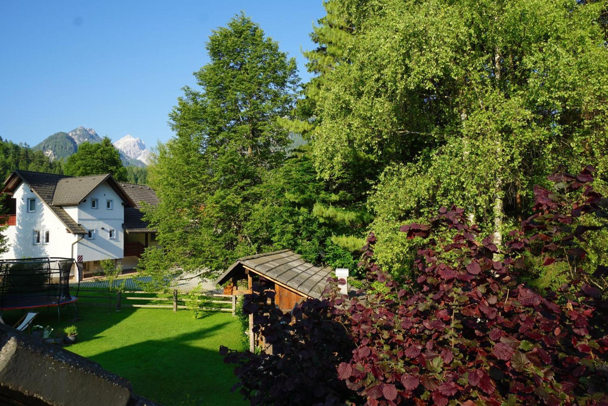 Apartma Zidan Kranjska Gora Exteriér fotografie